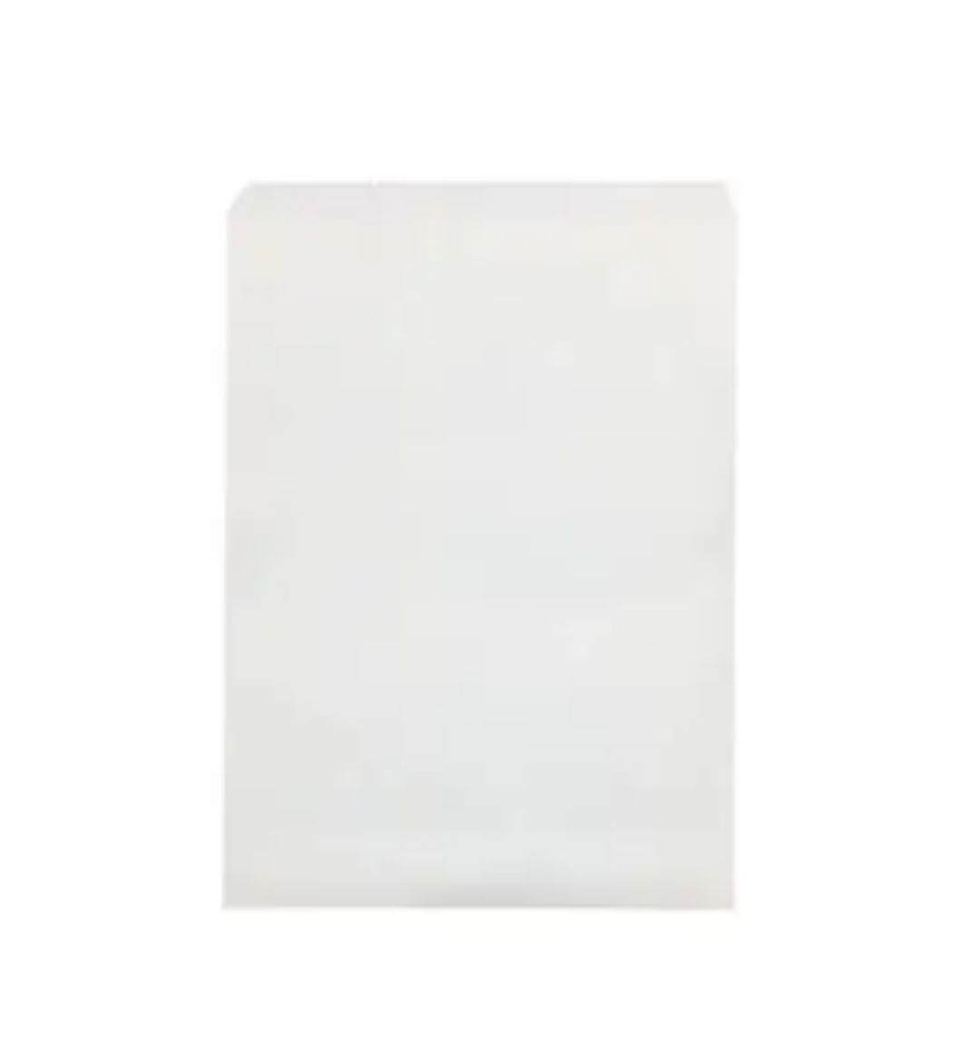 Picture of BAG, PAPER WHITE 320x270 #6 FLAT 500/PACK