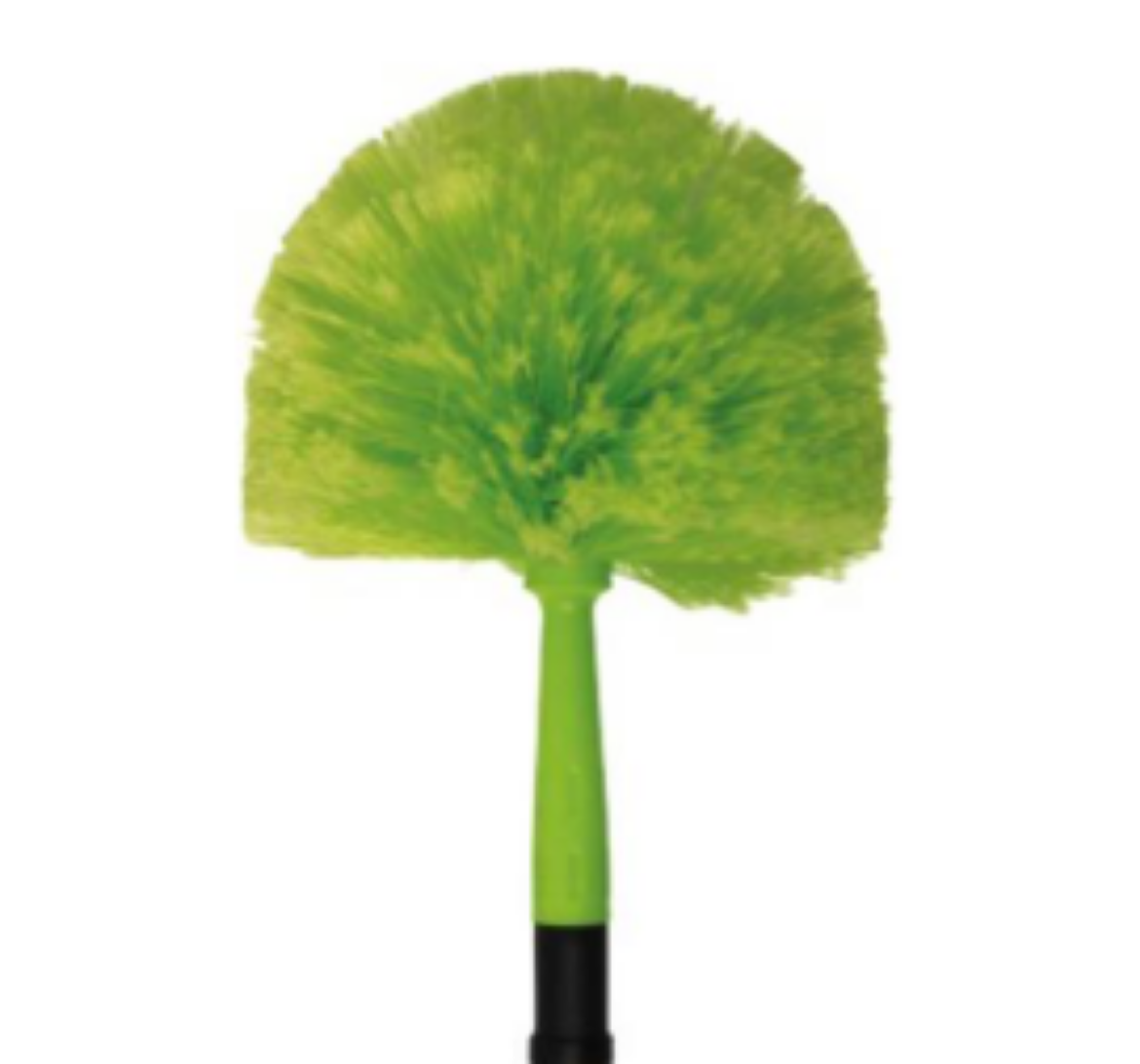 Picture of DOMED HEAD COBWEB BRUSH