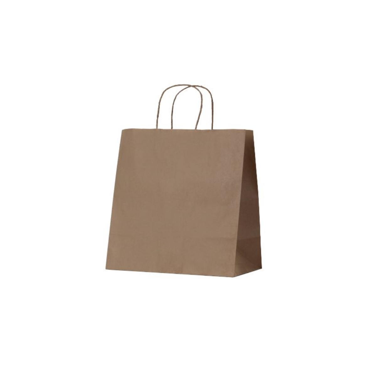 Picture of BAG, CARRY KRAFT TWIST HANDLE 305x305+170 (BETAECO MEDIUM) 250/CTN
