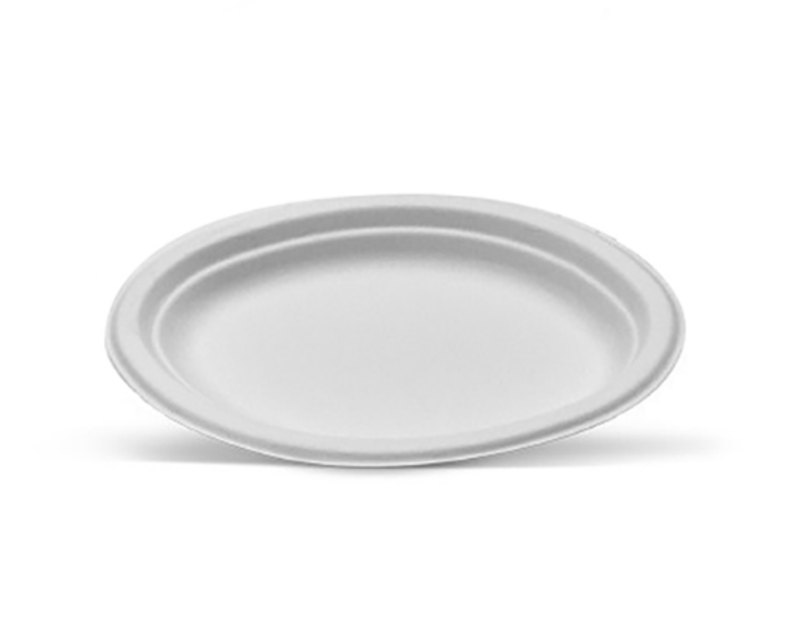 Picture of LARGE OVAL PLATE 318X251MM 50/PACK