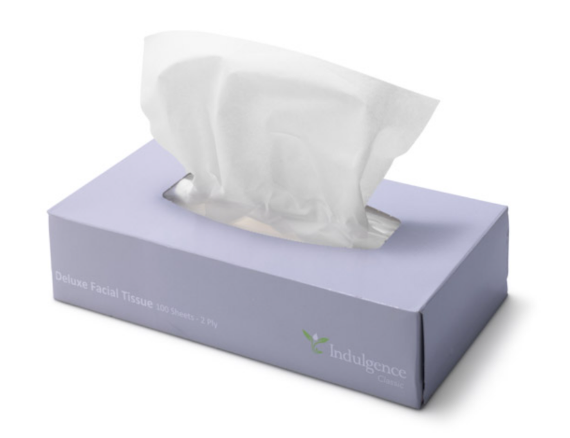 Picture of TISSUES, 2PLY 100SHTS 48/CTN
