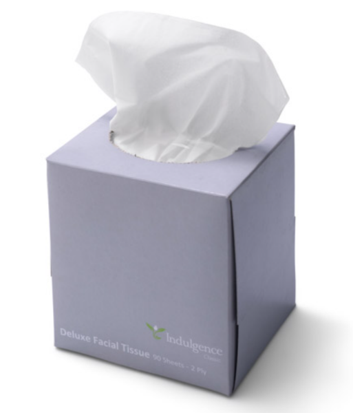 CAP1048CW TISSUES, 2PLY 100SHTS 48/CTN | Clean IQ Australia