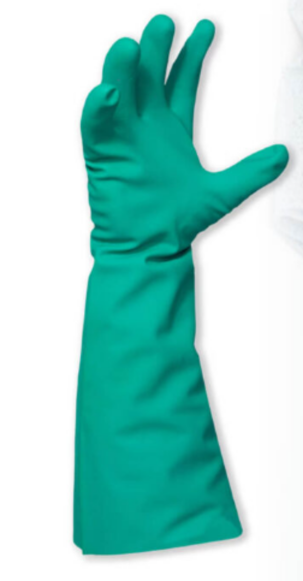 Picture of GLOVES, NITRILE 460- GREEN SOLVENT RESISTANT UNLINED- EXTRA LARGE - PAIR