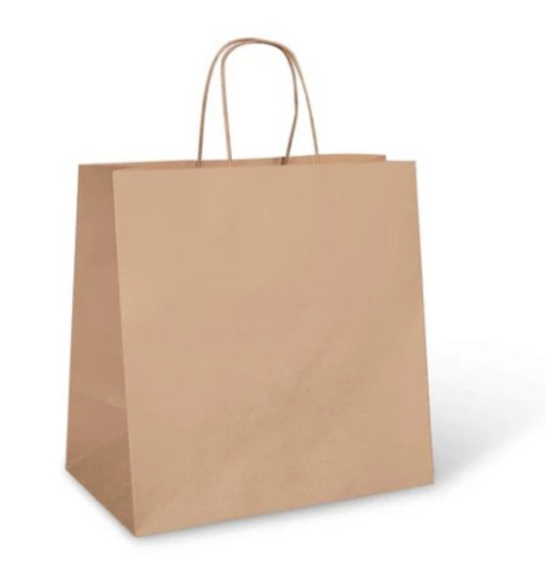 Picture of BAG, CARRY KRAFT TWIST HANDLE 300x170x305 (LARGE) 250/CTN